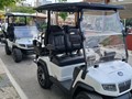 Ηλεκτρικά οχήματα στο Δάσος Κουρί